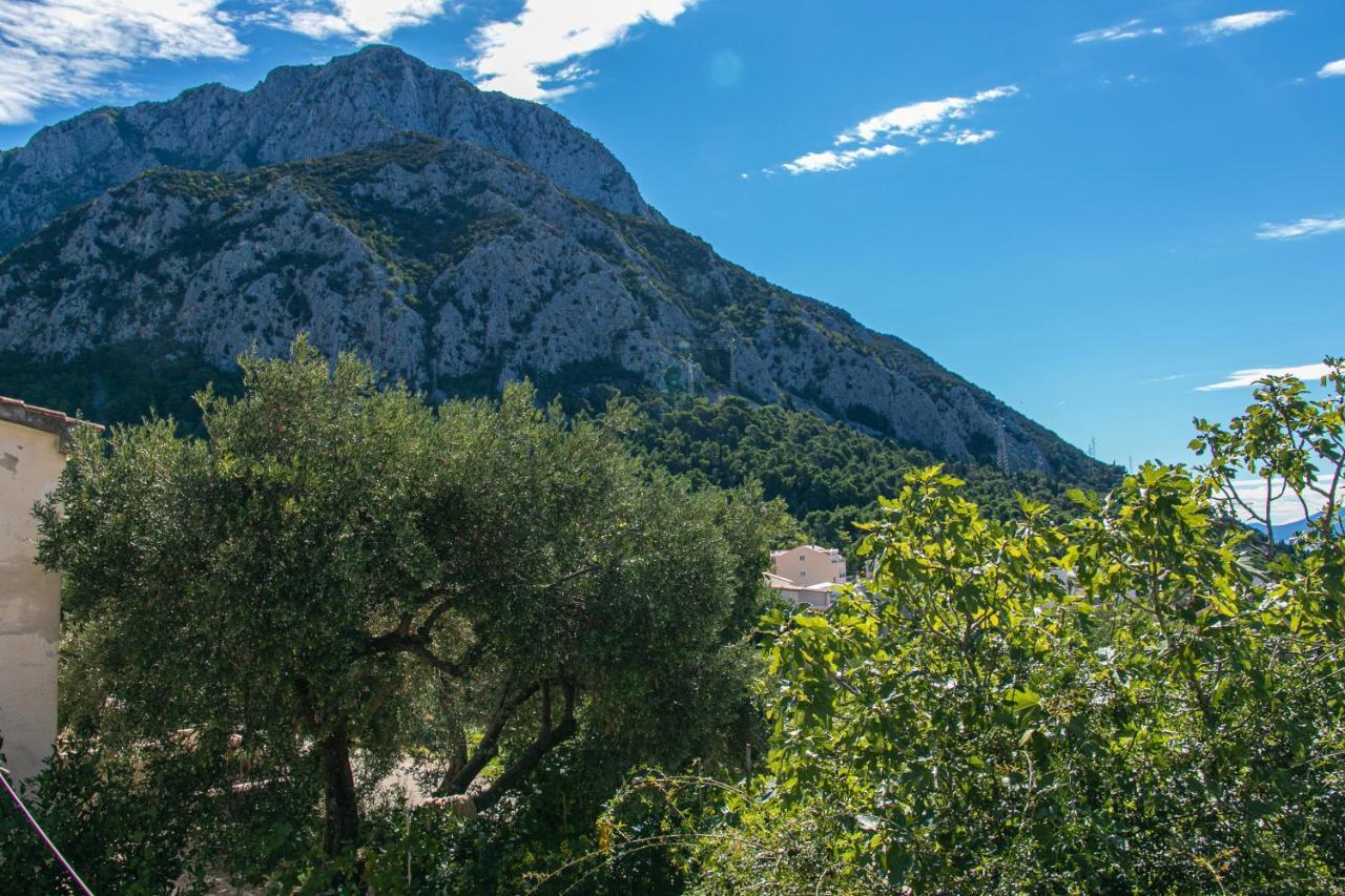 Apartments With A Parking Space Gradac, Makarska - 14708 מראה חיצוני תמונה